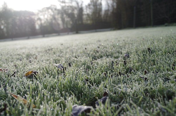 first frost Nov 15 2