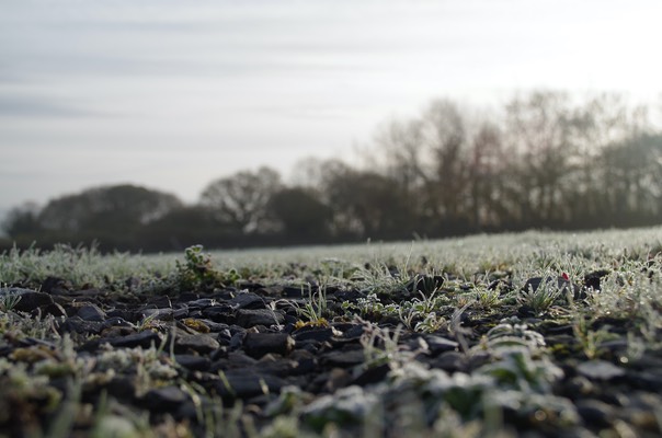 first frost Nov 2015 4