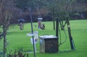 Greater spotted woodpecker