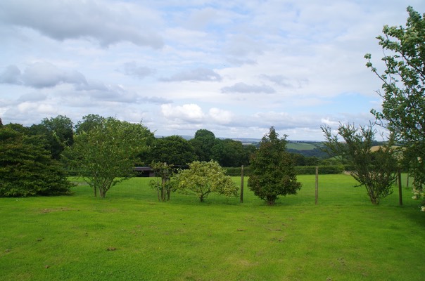 IMGP0611