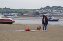 Instow dig friendly beach